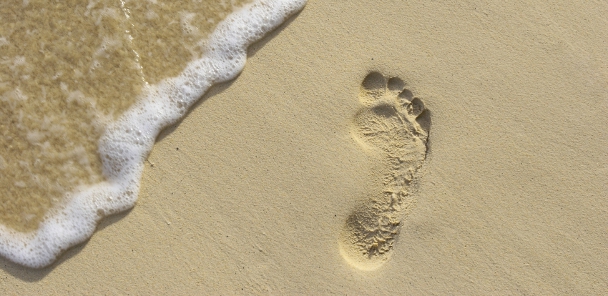 “Understand the issues, make an impact.”-Tom Schey